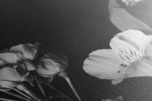 Obraz elegantní černobílé květiny