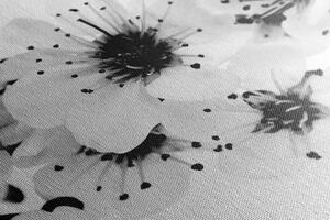 Obraz třešňové květy v černobílém provedení