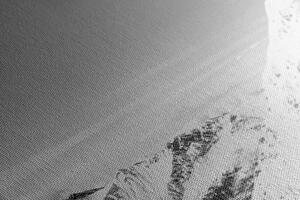 Obraz zasněžené pohoří v černobílém provedení