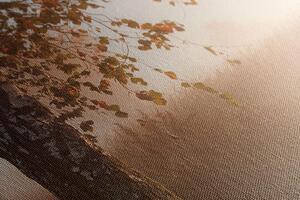 Obraz mlhavý podzimní les