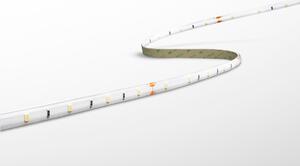 CENTURY LED pásek ACCENTO 4,8W/m STRIP 30Led 3m 6000K IP65 KIT