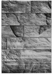 Breno Kusový koberec PARMA 9250 Black, 240x340 cm, Šedá/Černá