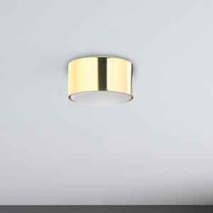 TK Lighting Dallas stropní světlo 1x10 W zlatá 6096