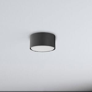 TK Lighting Dallas stropní světlo 1x10 W černá 6241