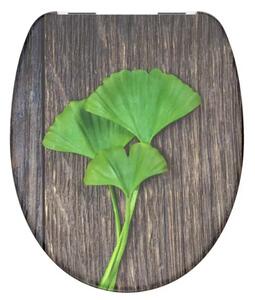 WC sedátko Schütte GINGKO und WOOD | Duroplast, Soft Close