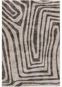 Breno Kusový koberec ARGENTUM 63915/8273, 80x150 cm, Vícebarevné