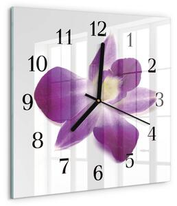 Skleněné hodiny na stěnu Květina orchideje zskc-30x30-00173701