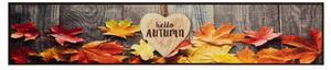 Kuchyňský koberec omyvatelný Podzim 60 x 300 cm samet