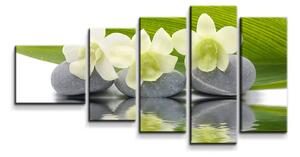Sablio Obraz - 5-dílný Bílá orchidej - 100x60 cm
