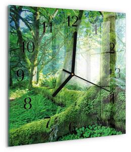 Skleněné hodiny na stěnu Lesní mech zskc-30x30-00173870