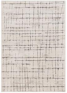 Breno Kusový koberec AMARNA 54013/E7CW, 80x120 cm, Vícebarevné/Béžová