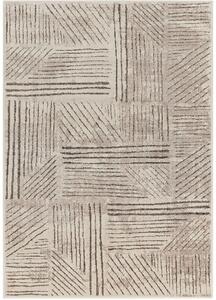 Breno Kusový koberec AMARNA 44002/E7CH, 80x120 cm, Béžová/Vícebarevné