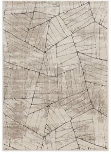 Breno Kusový koberec AMARNA 44004/E7CH, 80x120 cm, Vícebarevné/Béžová