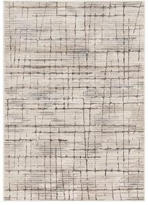 Breno Kusový koberec AMARNA 54013/E7CV, 80x120 cm, Vícebarevné/Béžová