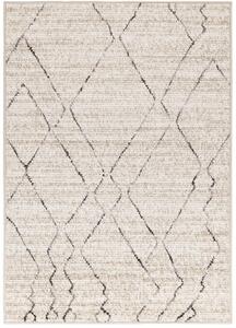 Breno Kusový koberec HARMONIA 4003 - 0744, 60x100 cm, Béžová/Vícebarevné