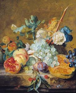 Jan van Huysum - Obrazová reprodukce Flowers and Fruit, (35 x 40 cm)