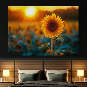Obraz na plátně - Slunečnice v krásném západu slunce FeelHappy.cz Velikost obrazu: 40 x 30 cm