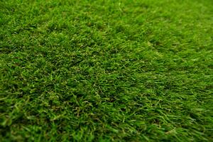 Nizozemí Umělá tráva All Star zelená šíře 150 cm Šíře: 150 cm