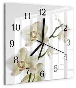 Skleněné hodiny na stěnu Orchidej zskc-30x30-00175321
