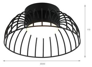 LED Stropní svítidlo BETSY LED/12W/230V pr. 25 cm černá