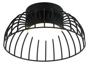 LED Stropní svítidlo BETSY LED/12W/230V pr. 25 cm černá