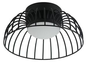 LED Stropní svítidlo BETSY LED/12W/230V pr. 25 cm černá