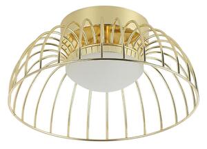 LED Stropní svítidlo BETSY LED/12W/230V pr. 25 cm zlatá