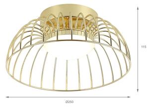 LED Stropní svítidlo BETSY LED/12W/230V pr. 25 cm zlatá
