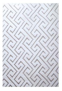 Vopi | Kusový koberec Vision 5121 beige - 120 x 170 cm