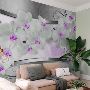 Fototapeta Abstrakce s květinami - bílé orchideje na stříbrném pozadí s vzory