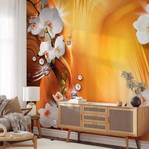 Fototapeta Kompozice s květinami - bílé orchideje na oranžovém pozadí s vzory