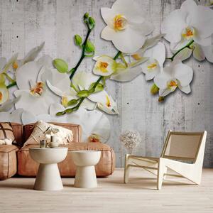 Fototapeta Bílé orchideje s oranžovým akcentem - motiv květin na šedém pozadí