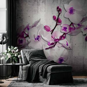 Fototapeta Bílé orchideje s fialovým akcentem - motiv květin na betonovém pozadí