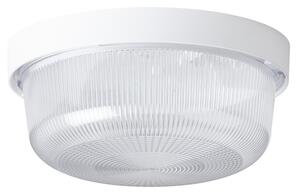 OSMONT ELE50004 ELEKTRA 3 stropní/nástěnné průmyslové plastové svítidlo bílá / čirá IP54 60W E27