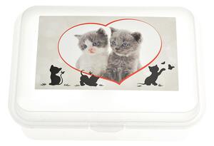 TVAR Box na svačinu 180 x 130 x 70 mm, kočičky, transparentní