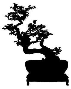FUGU Samolepka na zeď-Bonsai jednobarevná Barva: černá 070, Rozměr: bonsai 32x40