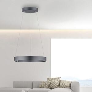 Paul Neuhaus Závěsné LED svítidlo PURE E-Clipse, 53W, ø 70 cm, 2700-5000K, elektricky nastavitelná výška Barva: Mystická šedá