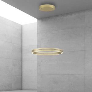 Paul Neuhaus Závěsné LED svítidlo PURE E-Loop, 53W, ø 70,1 cm, 2700-5000K, elektricky nastavitelná výška Barva: Zlatá-slonová