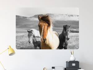 FUGU Přemístitelný plakát koně na zeď - Horse band Rozměr: L: (š x v) 126 x 83 cm