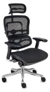 Grospol Ergohuman Plus Elite BS kancelářské židle černá