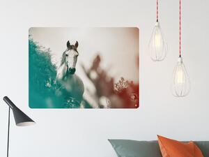 FUGU Kůň v přírodě - Samolepka přemístitelný plakát na zeď Rozměr: L: (š x v) 126 x 92 cm