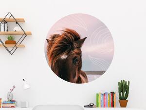 FUGU Kůň s patkou- samolepka na zeď přemístitelný kruh Rozměr: Malý kruh 41 cm