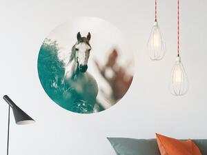 FUGU Kůň v přírodě - samolepka na zeď přemístitelný kruh Rozměr: Malý kruh 41 cm