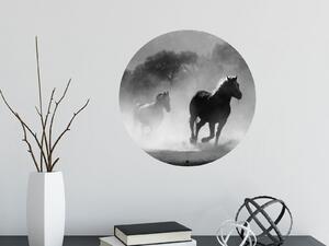 FUGU Samolepka na zeď Běžící koně - přemístitelný kruh Rozměr: Střední kruh 63 cm