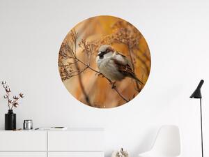 FUGU Samolepka na zeď Ptáček na větvičce - přemístitelný kruh Rozměr: Malý kruh 41 cm