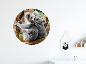 FUGU Samolepka na zeď Koala s mládětem - přemístitelný kruh Rozměr: Střední kruh 63 cm