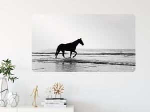 FUGU Kůň na pláži - přemístitelný plakát samolepicí Rozměr: M: (š x v) 107 x 60 cm