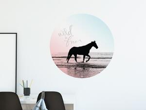 FUGU Dekorace na zeď Kůň na pláži blue - přemístitelný kruh Rozměr: Malý kruh 41 cm