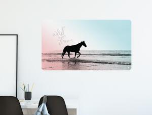 FUGU Kůň na pláži blue - přemístitelný plakát samolepicí Rozměr: M: (š x v) 107 x 60 cm