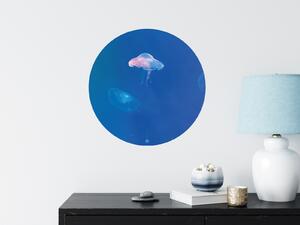 FUGU Přelepovací samolepka na zeď - Svítící medúza Rozměr: Malý kruh 41 cm